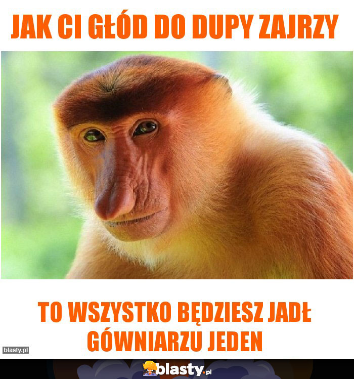 Jak Ci głód do dupy zajrzy