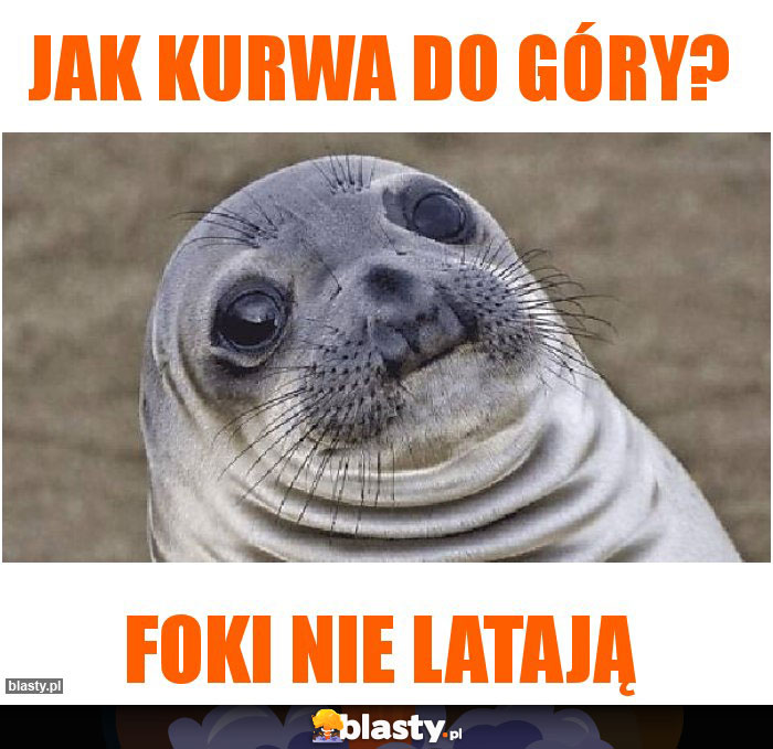 Jak kurwa do góry?