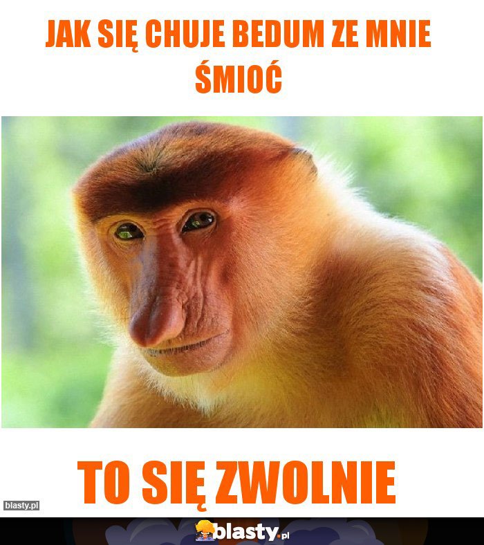 Jak się chuje bedum ze mnie śmioć