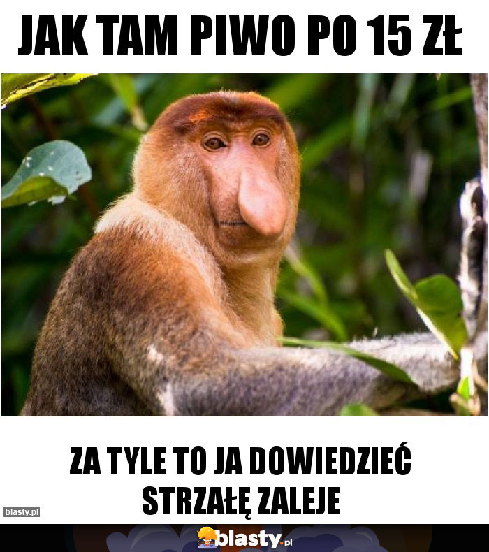 Jak tam piwo po 15 zł