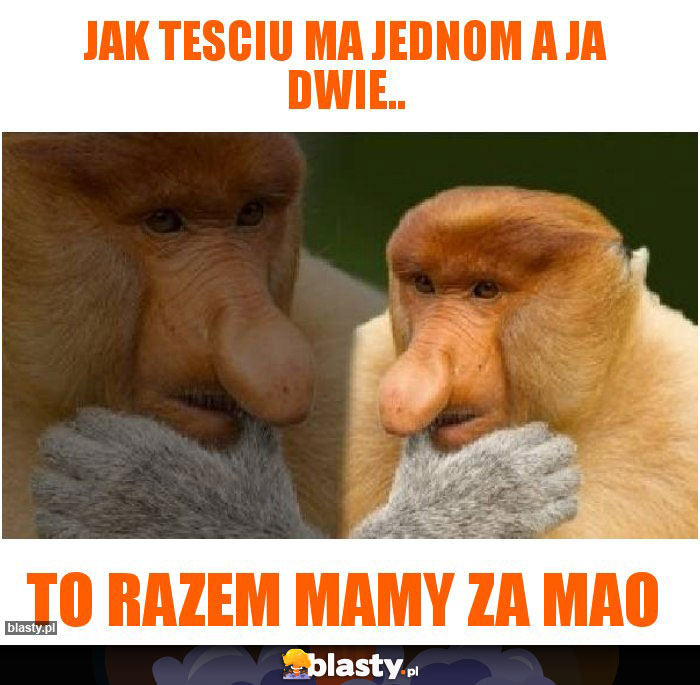 Jak tesciu ma jednom a ja dwie..