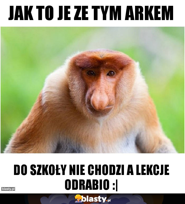 JAK TO JE ZE TYM ARKEM