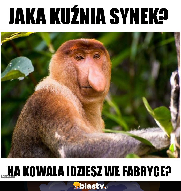 jaka Kuźnia synek?