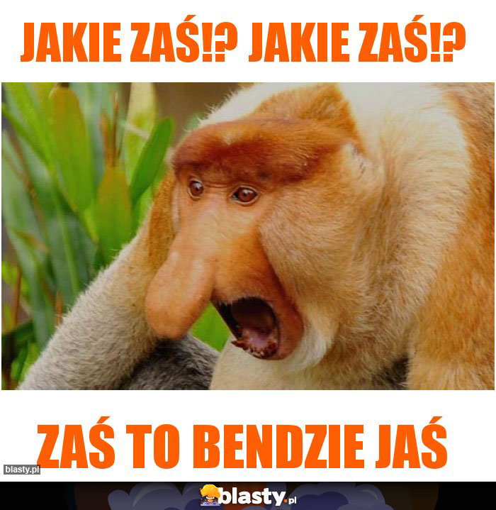 Jakie zaś!? Jakie zaś!?