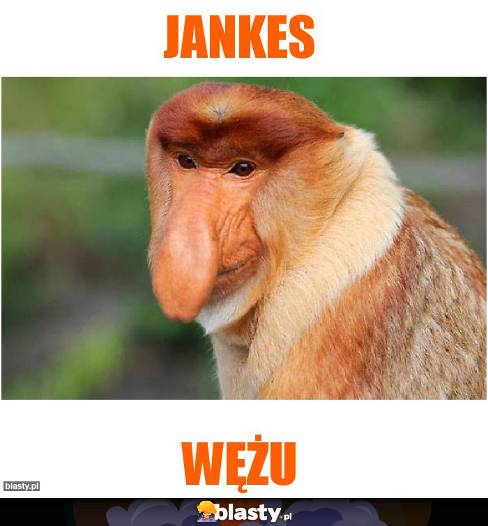 JANKES
