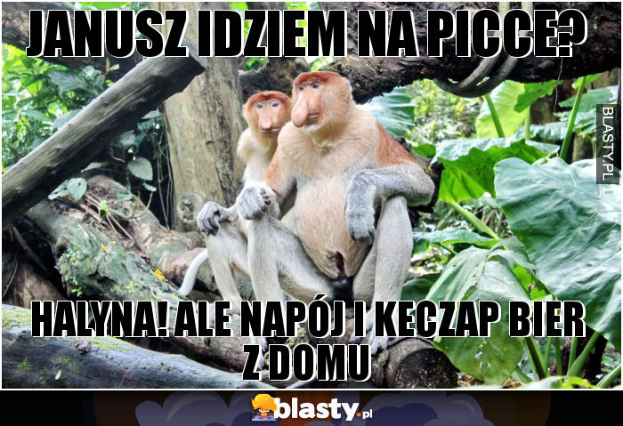 Janusz idziem na picce?