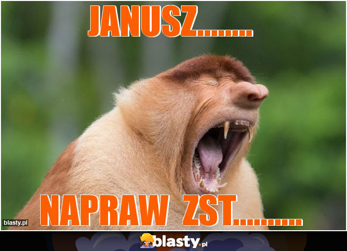 JANUSZ........