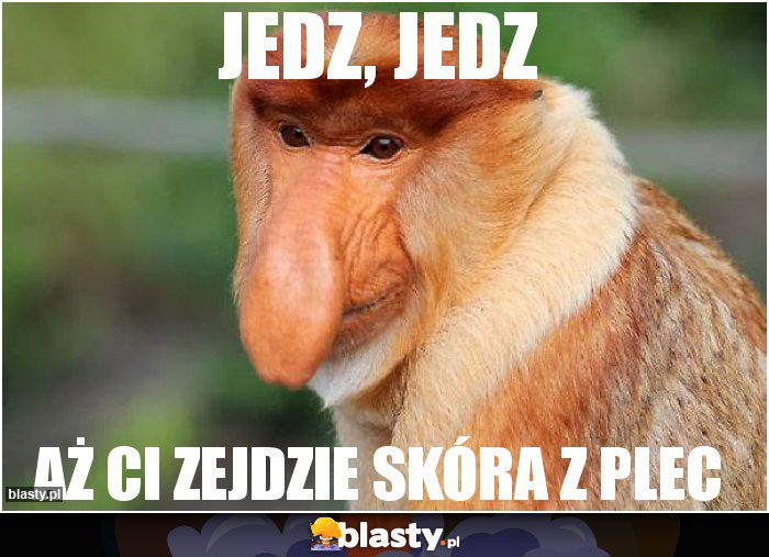 JEDZ, JEDZ