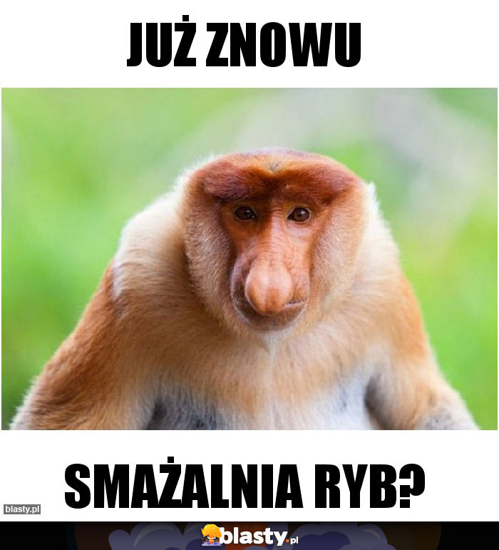 Już znowu
