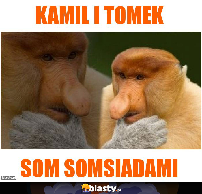Kamil i tomek Kamil i tomek