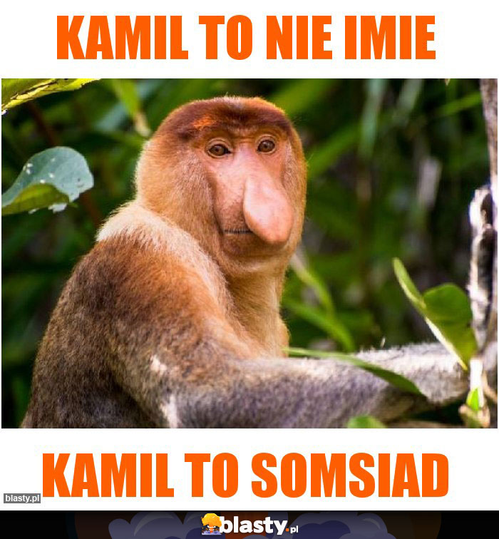 Kamil to nie imie