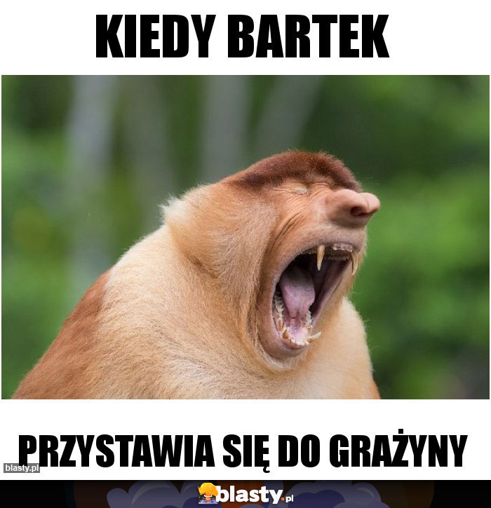 Kiedy Bartek