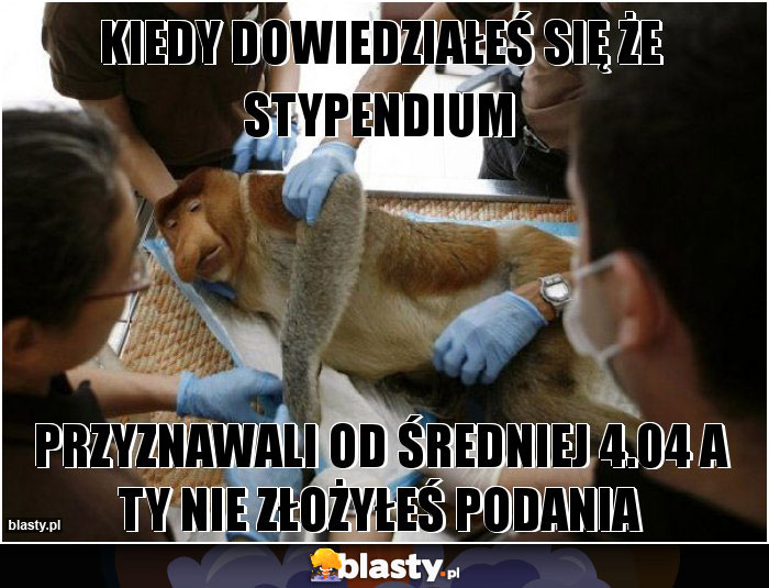 KIEDY DOWIEDZIAŁEŚ SIĘ ŻE STYPENDIUM KIEDY DOWIEDZIAŁEŚ SIĘ ŻE STYPENDIUM
