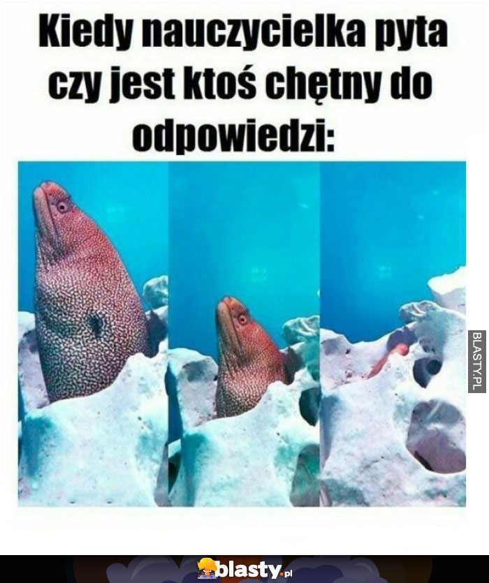 Kiedy facetka pyta czy jest ktoś chętny do odpowiedzi