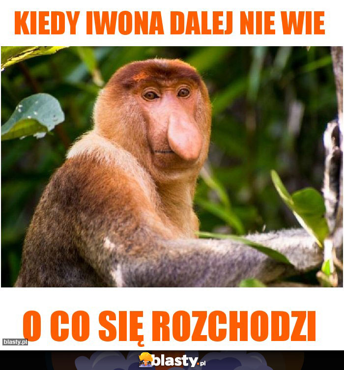 Kiedy Iwona dalej nie wie