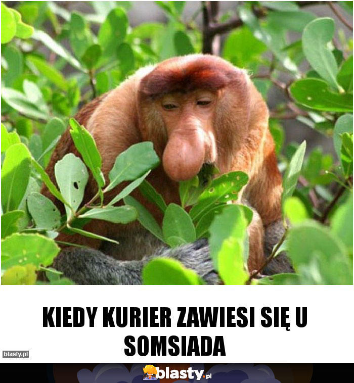 KIEDY KURIER ZAWIESI SIĘ U SOMSIADA KIEDY KURIER ZAWIESI SIĘ U SOMSIADA
