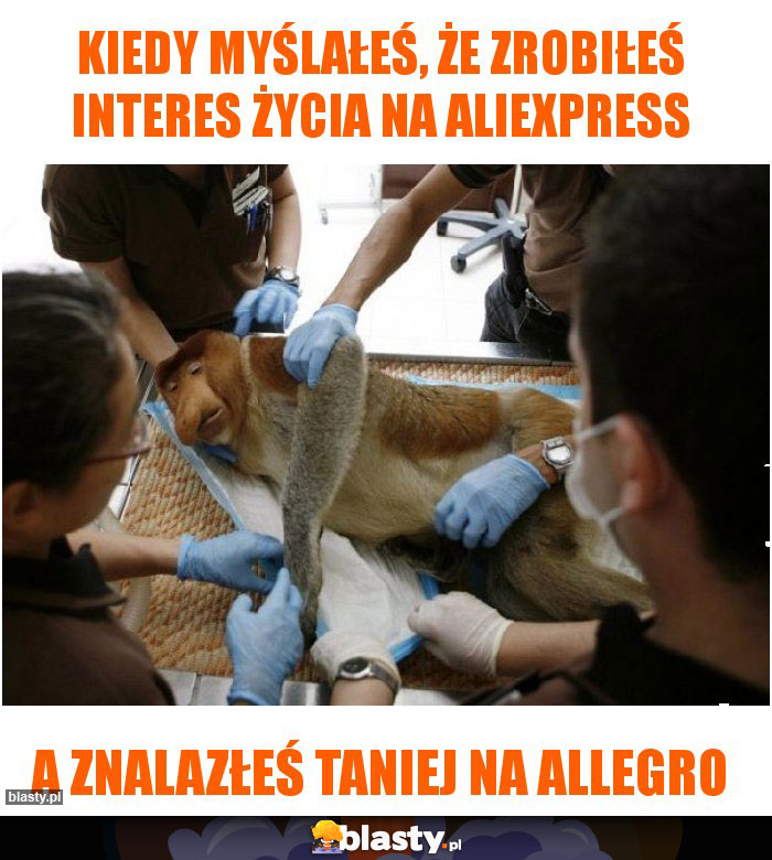 KIEDY MYŚLAŁEŚ, ŻE ZROBIŁEŚ INTERES ŻYCIA NA ALIEXPRESS