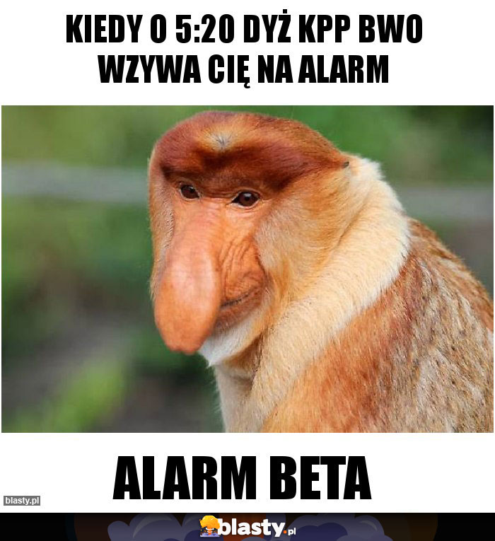 KIEDY o 5:20 DYŻ KPP BWO WZYWA CIĘ NA ALARM