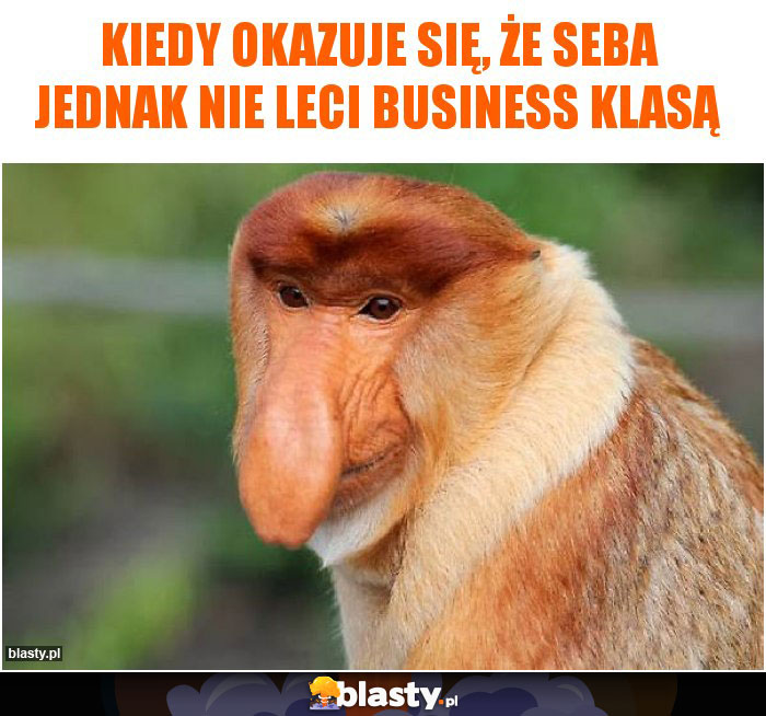 kiedy okazuje się, że seba jednak nie leci business klasą