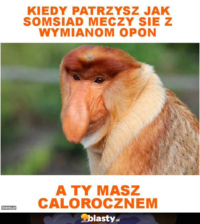 Kiedy patrzysz jak somsiad meczy sie z wymianom opon