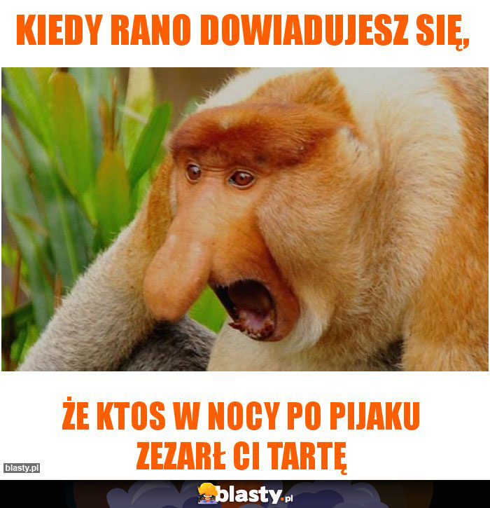 Kiedy rano dowiadujesz się,