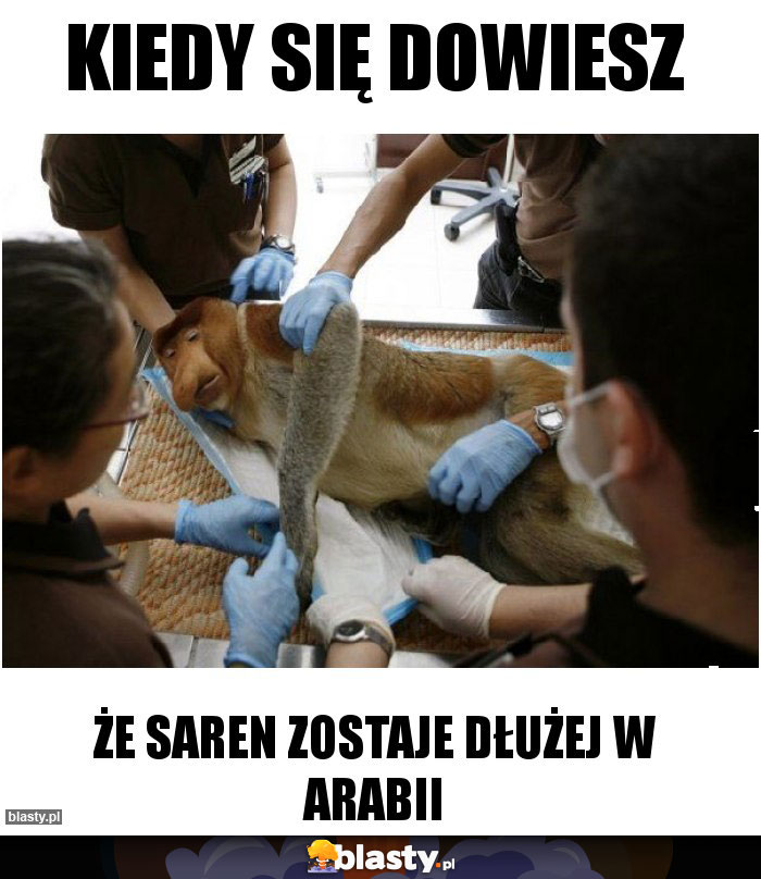 Kiedy się dowiesz