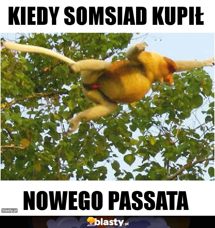 KIEDY SOMSIAD KUPIŁ