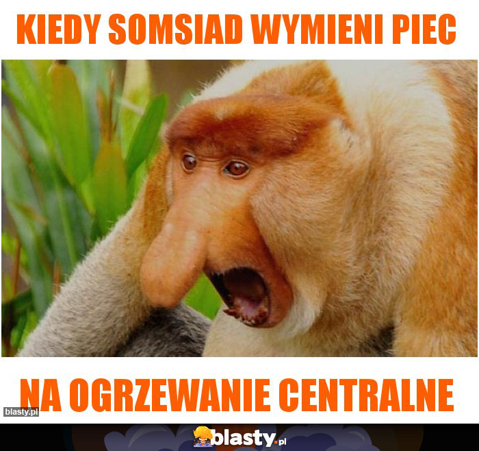 kiedy somsiad wymieni piec kiedy somsiad wymieni piec