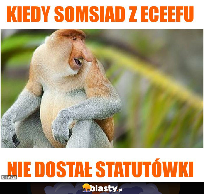 Kiedy somsiad z eceefu