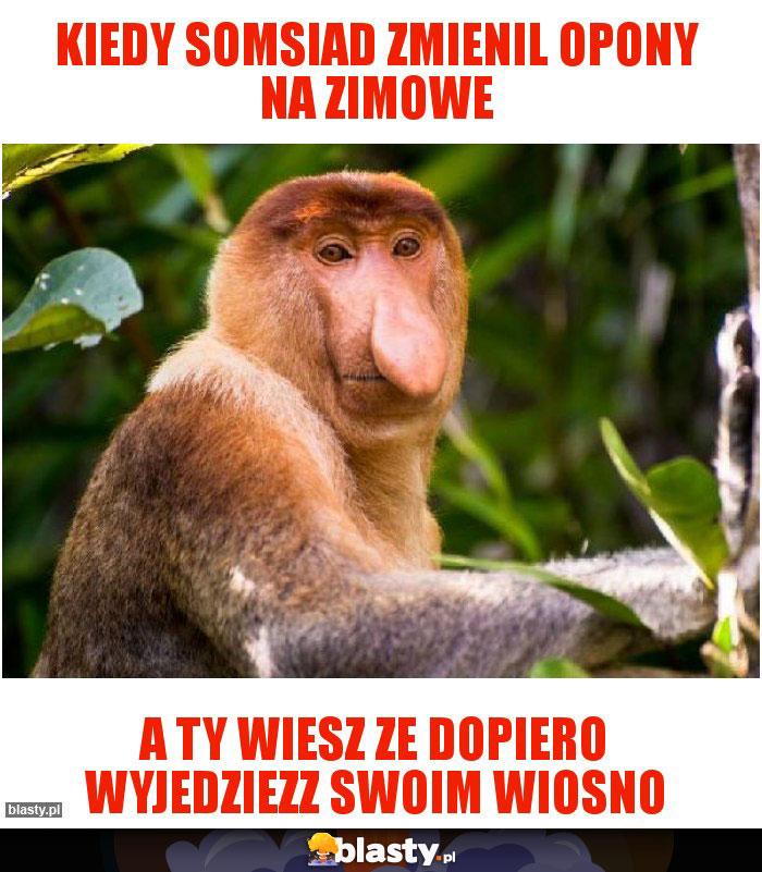 Kiedy somsiad zmienil opony na zimowe