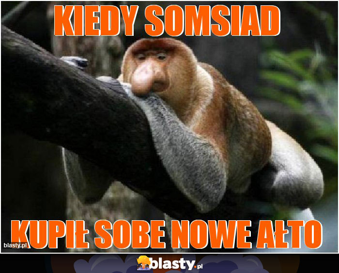 Kiedy somsiad