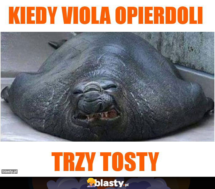 Kiedy Viola opierdoli