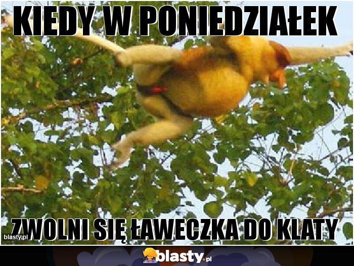Kiedy w poniedziałek Kiedy w poniedziałek