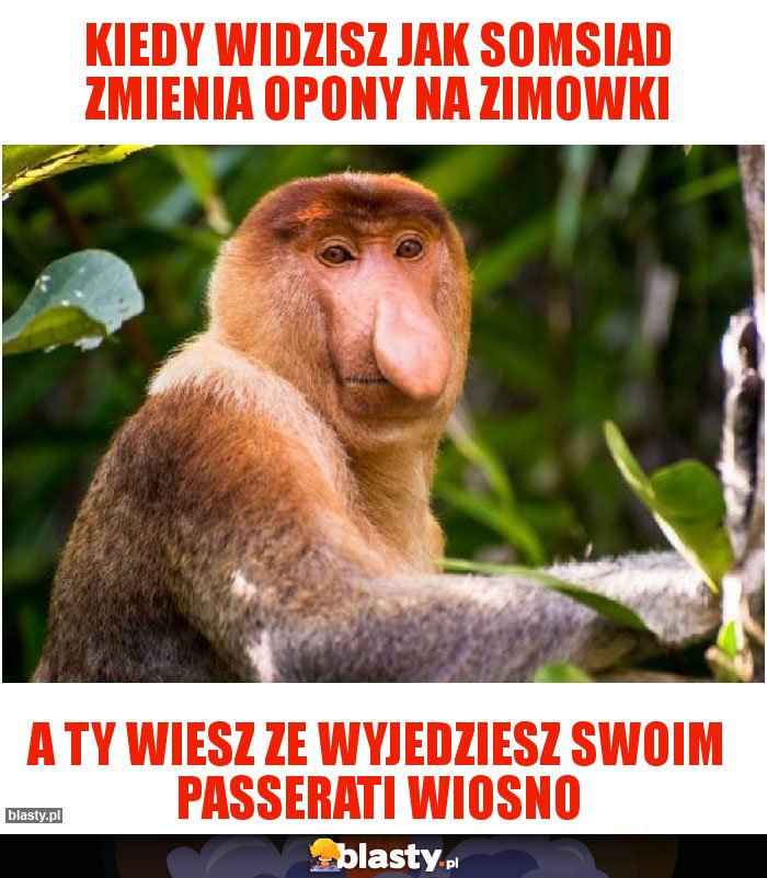 Kiedy widzisz jak somsiad zmienia opony na zimowki Kiedy widzisz jak somsiad zmienia opony na zimowki