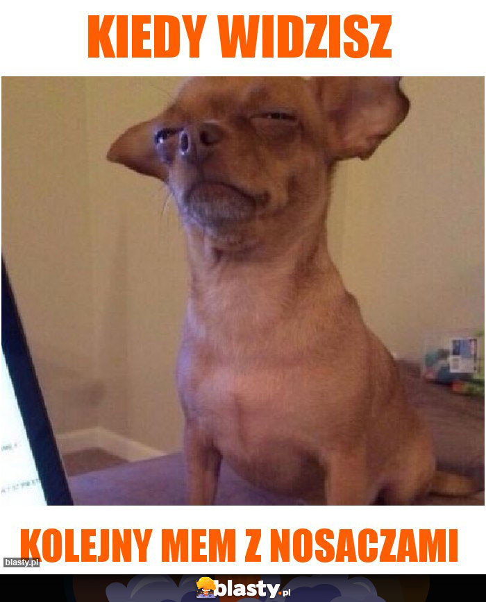 Kiedy widzisz Kiedy widzisz
