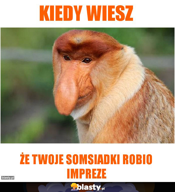 Kiedy wiesz