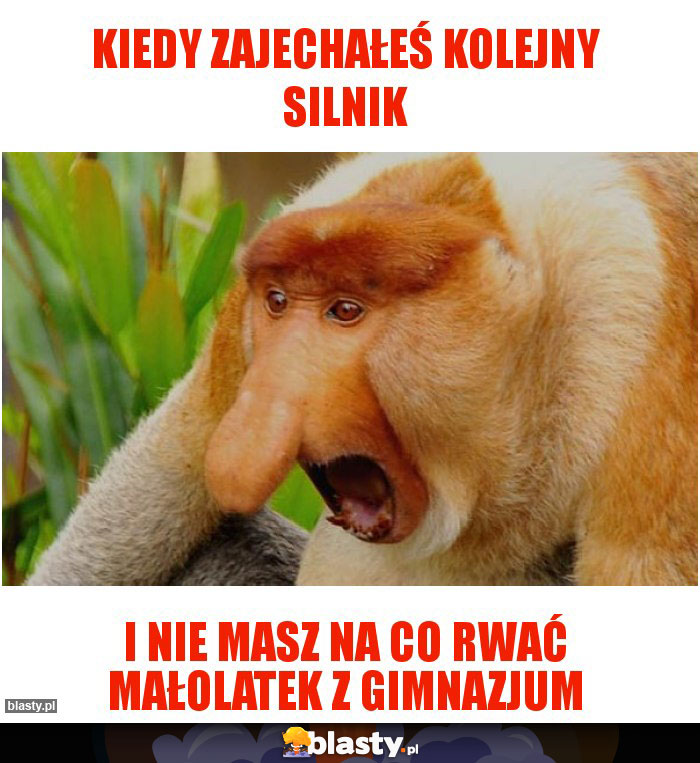 Kiedy zajechałeś kolejny silnik