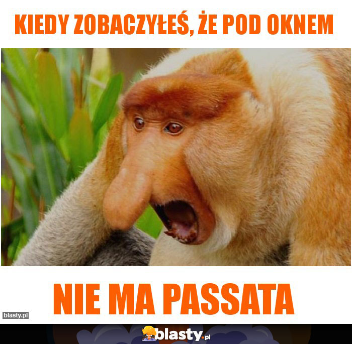 Kiedy zobaczyłeś, że pod oknem Kiedy zobaczyłeś, że pod oknem