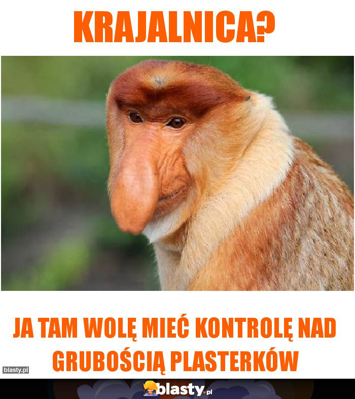 Krajalnica? Krajalnica?