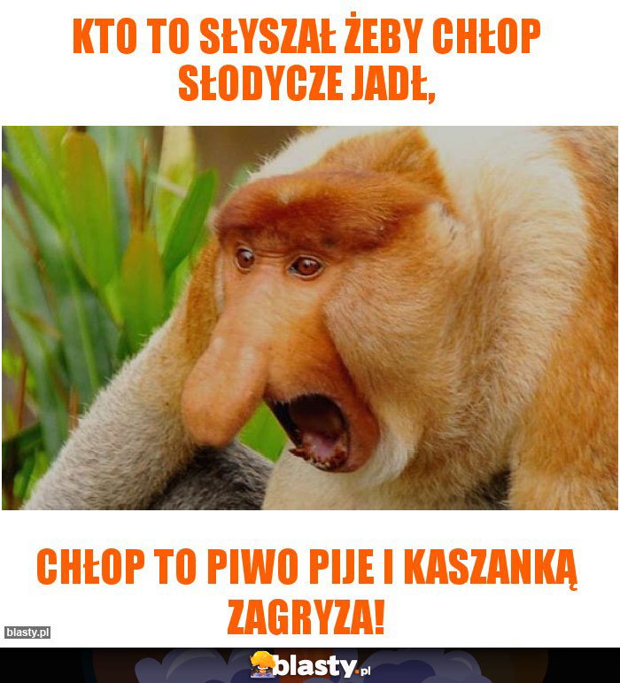 Kto to słyszał żeby chłop słodycze jadł,