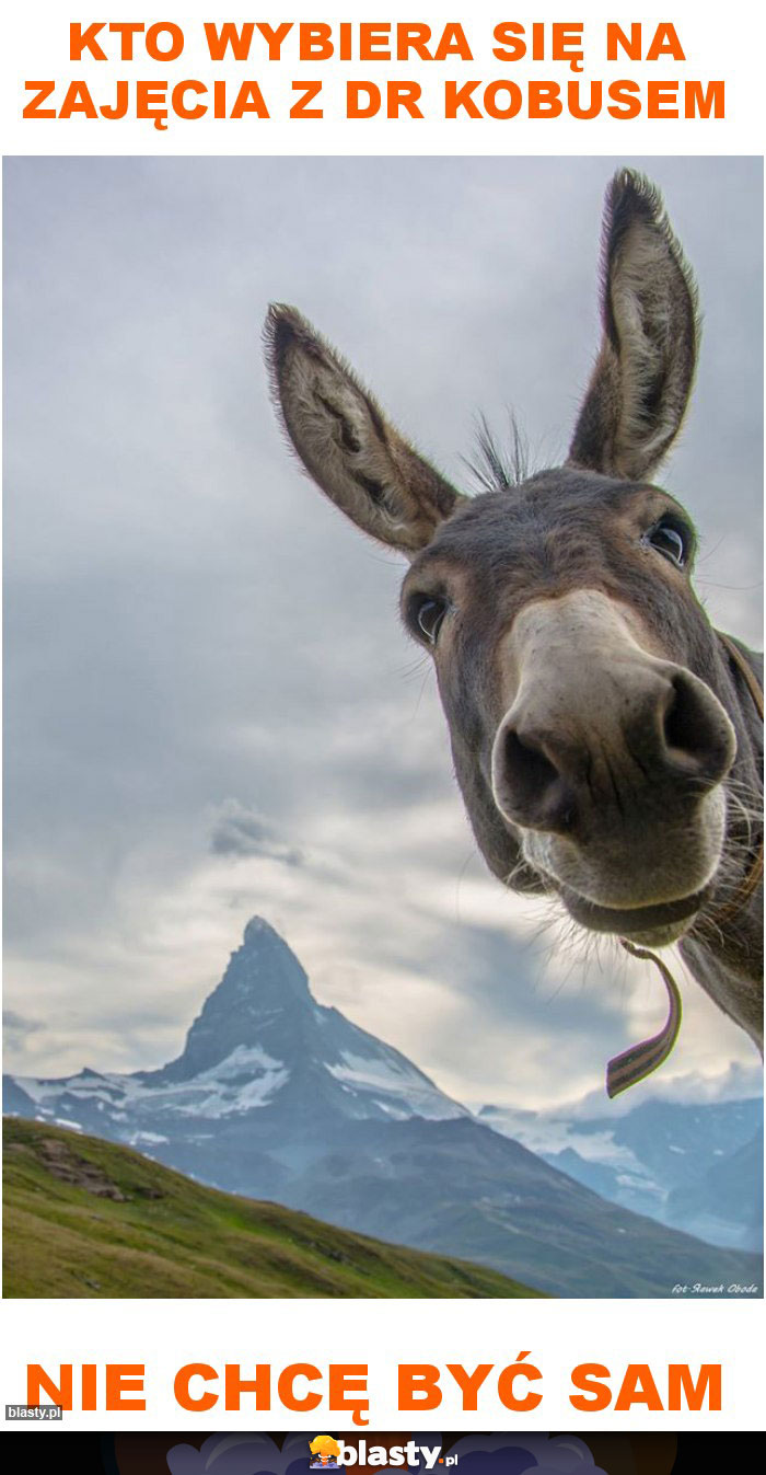 Kto wybiera się na zajęcia z dr Kobusem