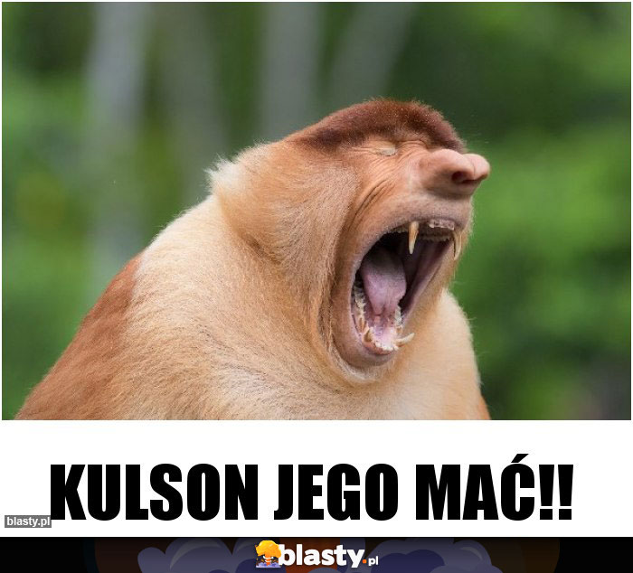 KUlson jego mać!!