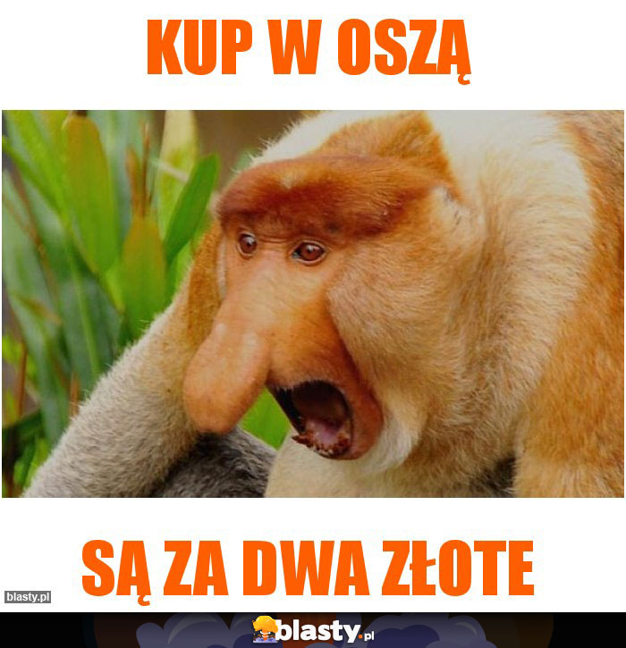 KUP W OSZĄ