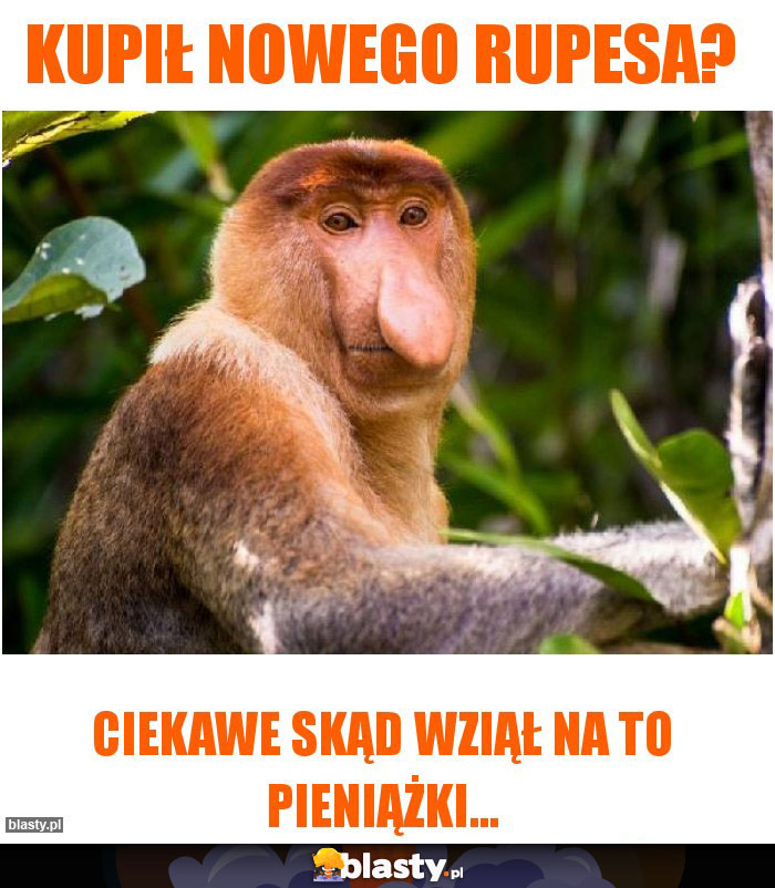 kupił nowego rupesa?