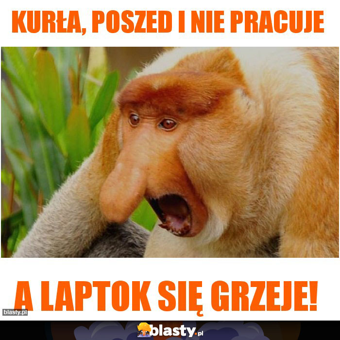 Kurła, poszed i nie pracuje