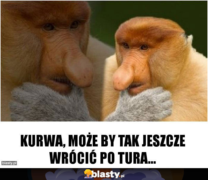 Kurwa, może by tak jeszcze wrócić po tura...