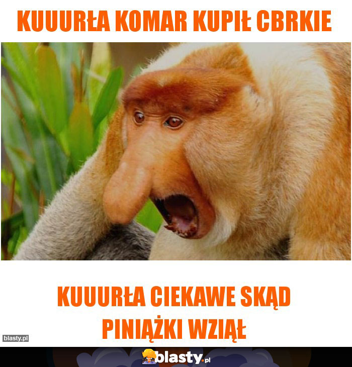 Kuuurła Komar kupił CBRkie