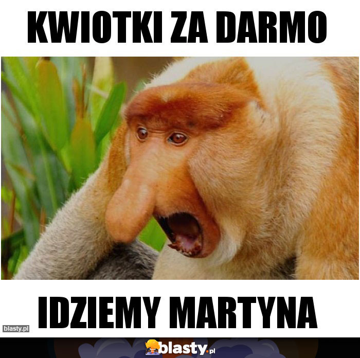 Kwiotki za darmo