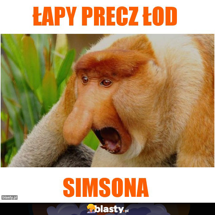 Łapy precz łod