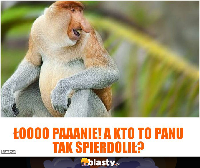 Łoooo Paaanie! A kto to panu tak spierdolił?